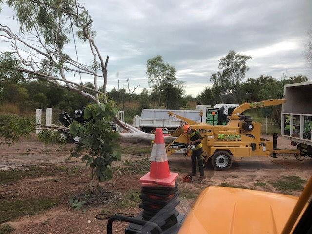 Arborist feeding cut branches into a wood chipper beside a felled tree in Darwin
