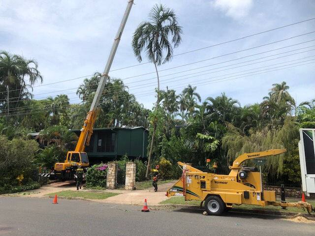 Crane and chipper working on a palm tree removal in a Darwin suburban street