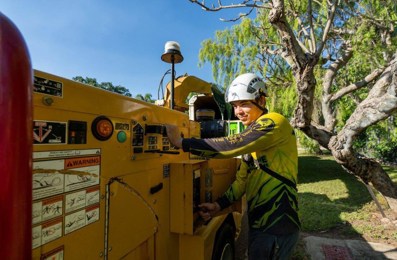 Stump grinder removing a tree stump on a Darwin property