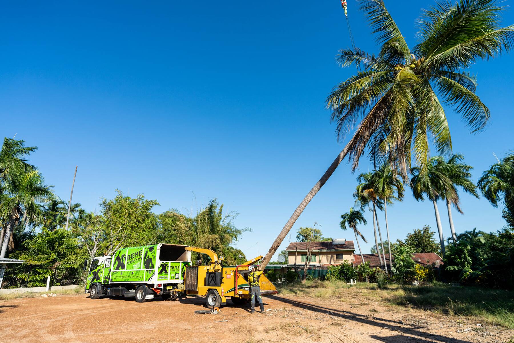 Xtreme Garden Care crew removing a large tree with a crane in Darwin